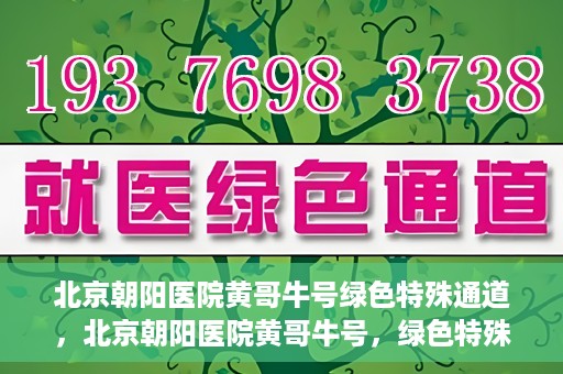 北京朝阳医院黄哥牛号绿色特殊通道，北京朝阳医院黄哥牛号，绿色特殊通道开启健康之门