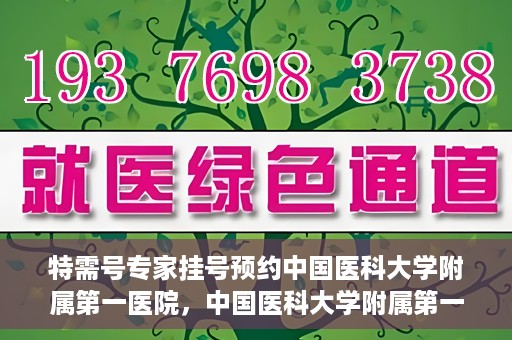 特需号专家挂号预约中国医科大学附属第一医院，中国医科大学附属第一医院特需专家挂号预约指南