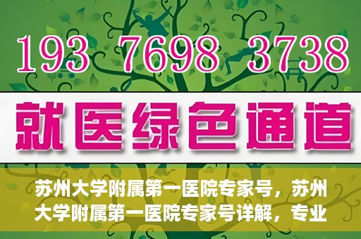 苏州大学附属第一医院专家号，苏州大学附属第一医院专家号详解，专业医疗团队与精准诊疗服务