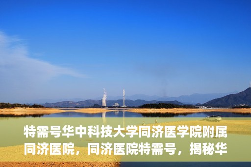 特需号华中科技大学同济医学院附属同济医院，同济医院特需号，揭秘华中科技大学同济医学院附属医院的特色服务与医疗特色