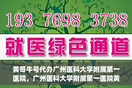 黄哥牛号代办广州医科大学附属第一医院，广州医科大学附属第一医院黄哥牛号代办服务