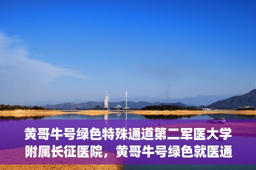 黄哥牛号绿色特殊通道第二军医大学附属长征医院，黄哥牛号绿色就医通道，第二军医大学附属长征医院的特殊通道探索