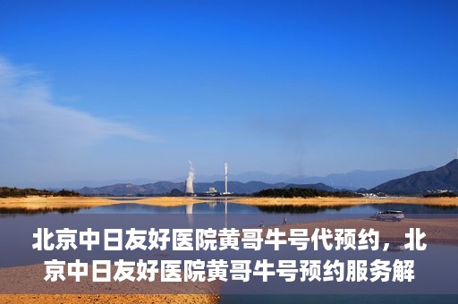 北京中日友好医院黄哥牛号代预约，北京中日友好医院黄哥牛号预约服务解析
