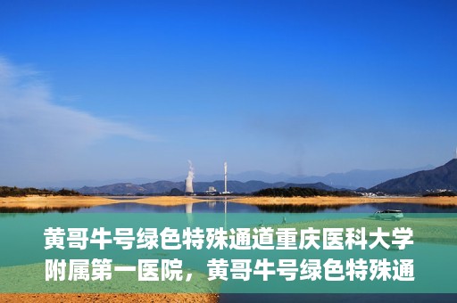 黄哥牛号绿色特殊通道重庆医科大学附属第一医院，黄哥牛号绿色特殊通道，重庆医科大学附属第一医院实践探索