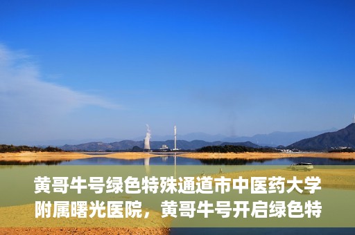 黄哥牛号绿色特殊通道市中医药大学附属曙光医院，黄哥牛号开启绿色特殊通道，市中医药大学附属曙光医院倾力打造健康新篇章