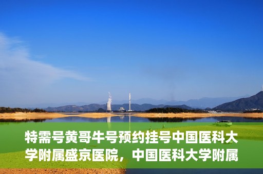 特需号黄哥牛号预约挂号中国医科大学附属盛京医院，中国医科大学附属盛京医院特需号黄哥牛号预约挂号指南