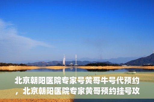 北京朝阳医院专家号黄哥牛号代预约，北京朝阳医院专家黄哥预约挂号攻略，轻松预约专家号