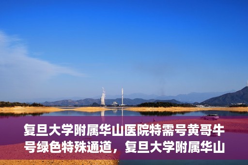 复旦大学附属华山医院特需号黄哥牛号绿色特殊通道，复旦大学附属华山医院特需号黄哥牛号，绿色通道的温暖守护之路