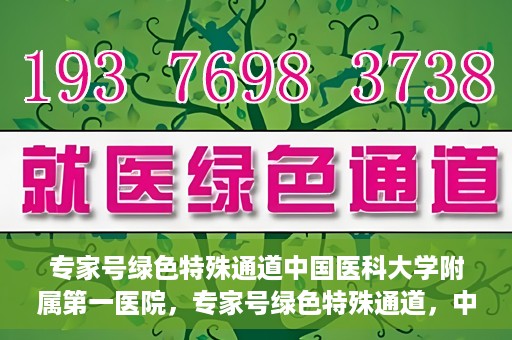 专家号绿色特殊通道中国医科大学附属第一医院，专家号绿色特殊通道，中国医科大学附属第一医院医疗服务的创新实践