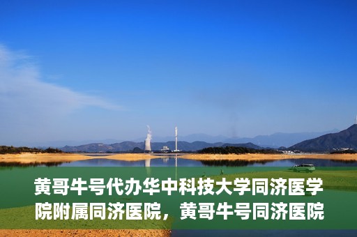 黄哥牛号代办华中科技大学同济医学院附属同济医院，黄哥牛号同济医院代办服务，专业助力就医无忧！