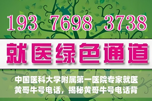 中国医科大学附属第一医院专家就医黄哥牛号电话，揭秘黄哥牛号电话背后的故事，中国医科大学附属第一医院专家就医之路
