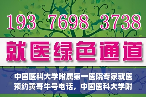中国医科大学附属第一医院专家就医预约黄哥牛号电话，中国医科大学附属第一医院专家预约挂号热线，黄哥牛号电话助您轻松就医。