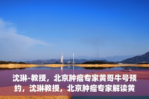 沈琳-教授，北京肿瘤专家黄哥牛号预约，沈琳教授，北京肿瘤专家解读黄哥牛号预约攻略