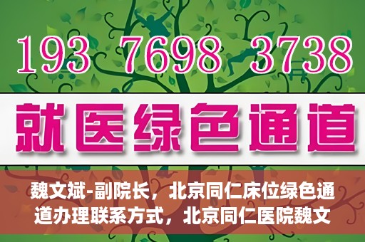 魏文斌-副院长，北京同仁床位绿色通道办理联系方式，北京同仁医院魏文斌副院长，床位绿色通道办理指南与联系方式揭秘