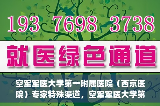 空军军医大学第一附属医院（西京医院）专家特殊渠道，空军军医大学第一附属医院（西京医院）专家特殊渠道解析与探索