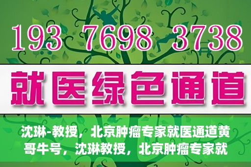 沈琳-教授，北京肿瘤专家就医通道黄哥牛号，沈琳教授，北京肿瘤专家就医通道揭秘——黄哥牛号领航健康之路