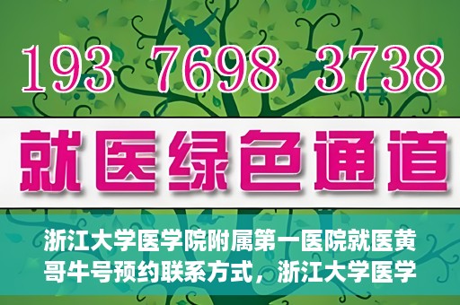 浙江大学医学院附属第一医院就医黄哥牛号预约联系方式，浙江大学医学院附属第一医院就医攻略，黄哥牛号预约联系方式全解析