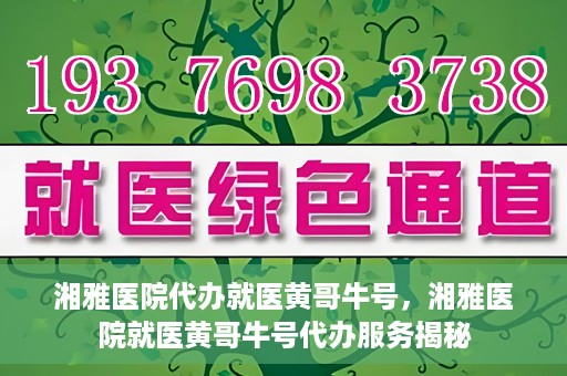 湘雅医院代办就医黄哥牛号，湘雅医院就医黄哥牛号代办服务揭秘