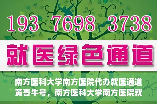 南方医科大学南方医院代办就医通道黄哥牛号，南方医科大学南方医院就医通道代办服务揭秘，黄哥牛号引领便捷就医新风尚
