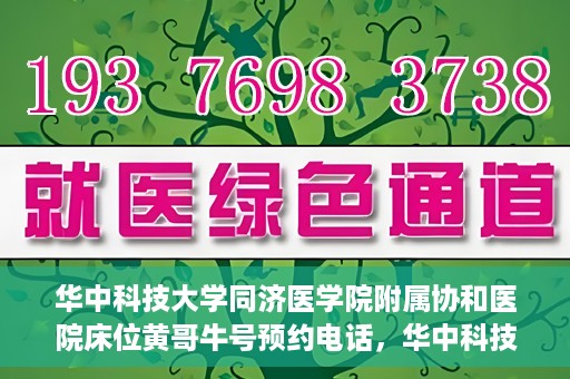 华中科技大学同济医学院附属协和医院床位黄哥牛号预约电话，华中科技大学同济医学院附属协和医院床位预约电话及黄哥牛号预约信息揭秘