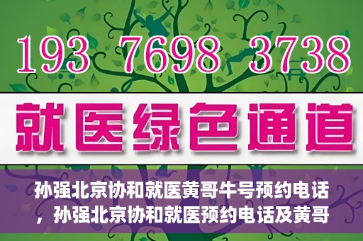孙强北京协和就医黄哥牛号预约电话，孙强北京协和就医预约电话及黄哥牛号预约攻略