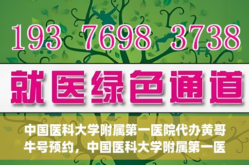 中国医科大学附属第一医院代办黄哥牛号预约，中国医科大学附属第一医院预约挂号代办服务解析——黄哥牛号预约揭秘