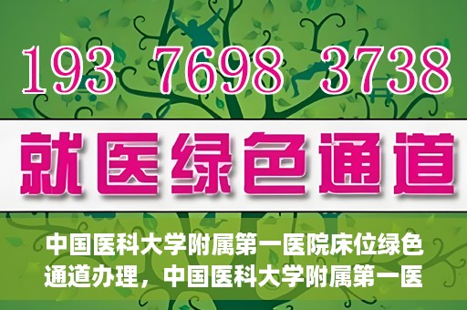 中国医科大学附属第一医院床位绿色通道办理，中国医科大学附属第一医院床位绿色通道办理详解，快速入院攻略