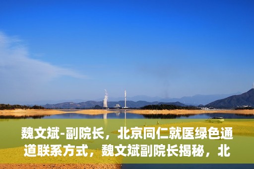 魏文斌-副院长，北京同仁就医绿色通道联系方式，魏文斌副院长揭秘，北京同仁就医绿色通道联系方式及更多实用信息