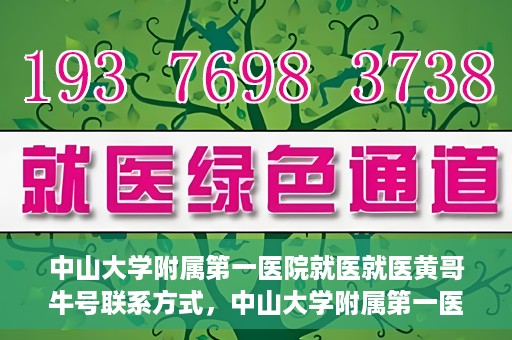 中山大学附属第一医院就医就医黄哥牛号联系方式，中山大学附属第一医院就医攻略，黄哥牛号联系方式揭秘