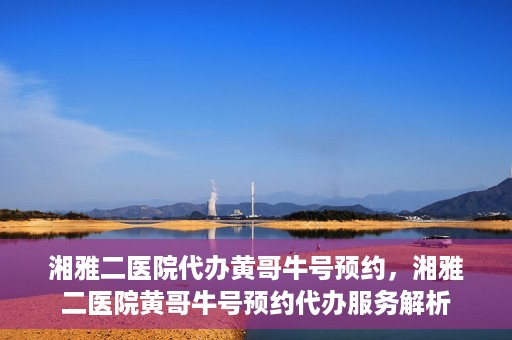 湘雅二医院代办黄哥牛号预约，湘雅二医院黄哥牛号预约代办服务解析