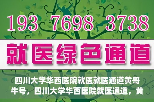 四川大学华西医院就医就医通道黄哥牛号，四川大学华西医院就医通道，黄哥牛号引领就医新纪元