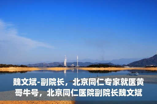 魏文斌-副院长，北京同仁专家就医黄哥牛号，北京同仁医院副院长魏文斌，黄哥牛号背后的专家就医解读