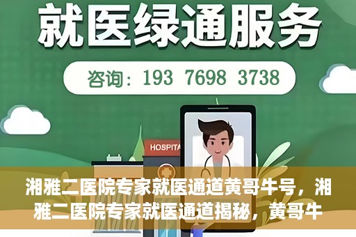 湘雅二医院专家就医通道黄哥牛号，湘雅二医院专家就医通道揭秘，黄哥牛号引领就医新风尚