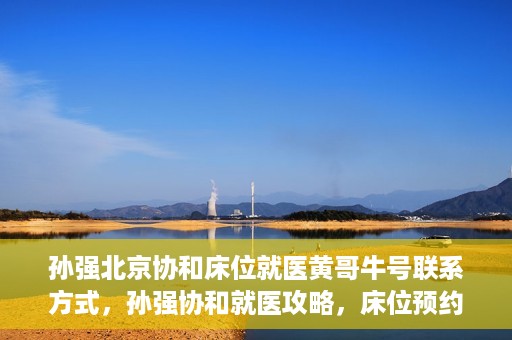 孙强北京协和床位就医黄哥牛号联系方式，孙强协和就医攻略，床位预约与黄哥牛号联系方式揭秘