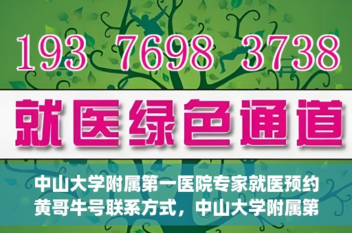 中山大学附属第一医院专家就医预约黄哥牛号联系方式，中山大学附属第一医院专家黄哥牛号预约指南，就医预约联系方式全解析