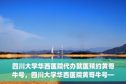 四川大学华西医院代办就医预约黄哥牛号，四川大学华西医院黄哥牛号——预约就医代办服务详解