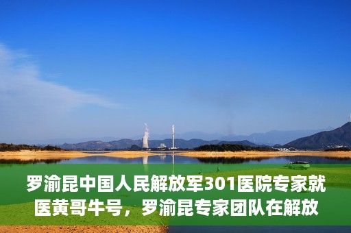 罗渝昆中国人民解放军301医院专家就医黄哥牛号，罗渝昆专家团队在解放军301医院为患者黄哥牛号解忧就医之路