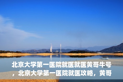 北京大学第一医院就医就医黄哥牛号，北京大学第一医院就医攻略，黄哥牛号助您轻松挂号就医