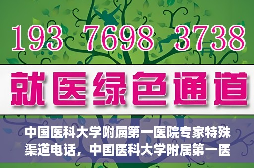 中国医科大学附属第一医院专家特殊渠道电话，中国医科大学附属第一医院专家特殊渠道专线揭秘