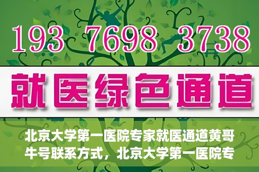 北京大学第一医院专家就医通道黄哥牛号联系方式，北京大学第一医院专家就医通道，黄哥牛号联系方式全解析