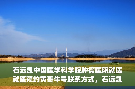 石远凯中国医学科学院肿瘤医院就医就医预约黄哥牛号联系方式，石远凯教授，中国医学科学院肿瘤医院就医预约指南及联系方式揭秘