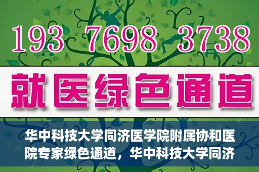 华中科技大学同济医学院附属协和医院专家绿色通道，华中科技大学同济医学院附属协和医院专家绿色通道，专业医疗服务的快速通道