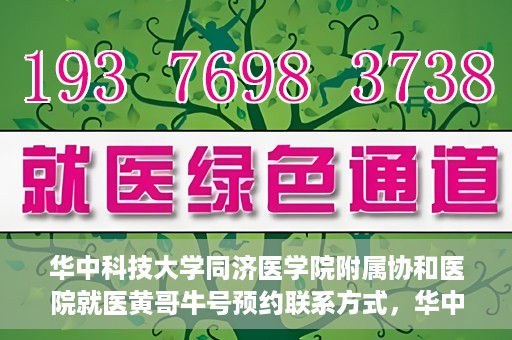 华中科技大学同济医学院附属协和医院就医黄哥牛号预约联系方式，华中科技大学同济医学院附属协和医院就医预约联系方式及黄哥牛号预约揭秘