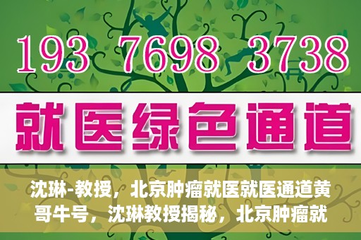 沈琳-教授，北京肿瘤就医就医通道黄哥牛号，沈琳教授揭秘，北京肿瘤就医通道的关键人物黄哥牛号引领就医新风尚