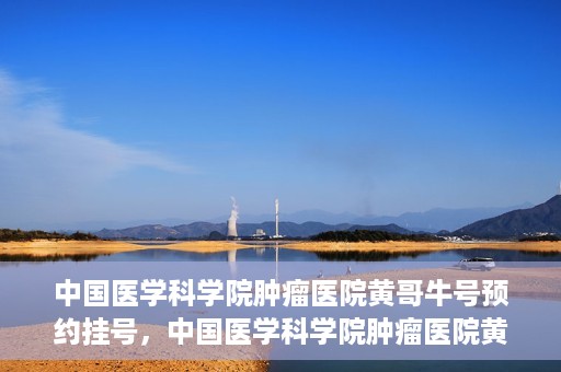 中国医学科学院肿瘤医院黄哥牛号预约挂号，中国医学科学院肿瘤医院黄哥牛号预约挂号攻略，一站式解决您的挂号难题