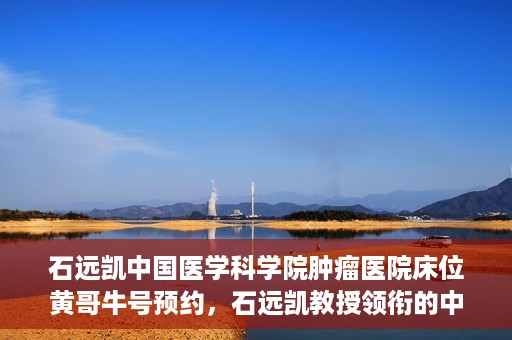 石远凯中国医学科学院肿瘤医院床位黄哥牛号预约，石远凯教授领衔的中国医学科学院肿瘤医院床位预约攻略，黄哥牛号预约详解