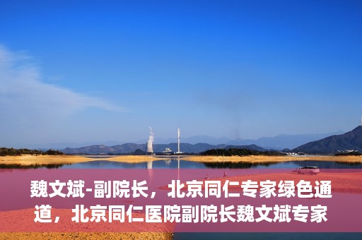 魏文斌-副院长，北京同仁专家绿色通道，北京同仁医院副院长魏文斌专家绿色通道介绍