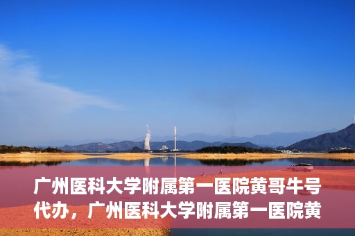 广州医科大学附属第一医院黄哥牛号代办，广州医科大学附属第一医院黄哥牛号挂号代办攻略