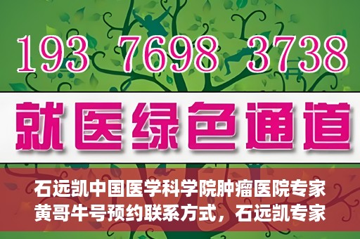石远凯中国医学科学院肿瘤医院专家黄哥牛号预约联系方式，石远凯专家团队预约挂号攻略，中国医学科学院肿瘤医院黄哥牛号预约联系方式揭秘