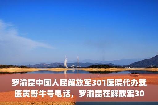 罗渝昆中国人民解放军301医院代办就医黄哥牛号电话，罗渝昆在解放军301医院就医助手黄哥牛联系方式揭秘，就医代办服务新动向